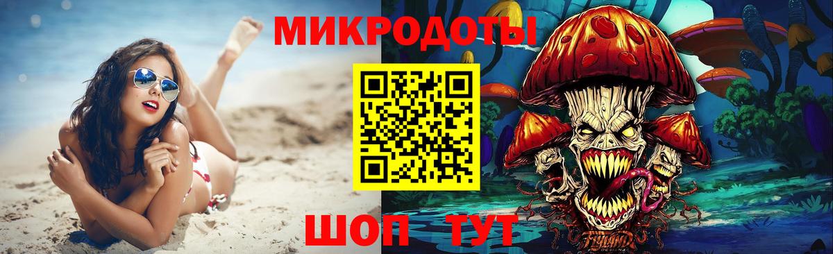 Шебекино  Псилоцибиновые грибы Psilocybine cubensis  Вход с VPN 